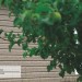 Сайдинг Ю-Пласт TIMBERBLOCK Пихта (Тимберблок) Cахалинская купить в Щиграх