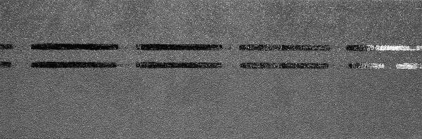 Коньково-карнизная черепица Docke Premium, черника купить в Щиграх