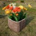 Цветник КАНЬОН купить в Щиграх