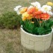 Цветник КАНЬОН купить в Щиграх